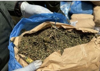 MBALLING : 108 kg de chanvre indien saisis