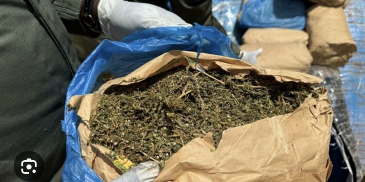 MBALLING : 108 kg de chanvre indien saisis