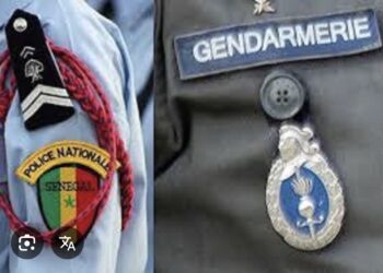 OPÉRATION DE SÉCURITÉ : 613 personnes arrêtées par les Fds