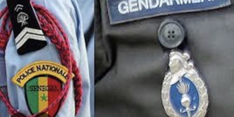 OPÉRATION DE SÉCURITÉ : 613 personnes arrêtées par les Fds