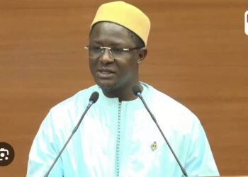 ASSEMBLÉE NATIONALE : Cheikh Bara Ndiaye dézingue le ministre de l’Environnement