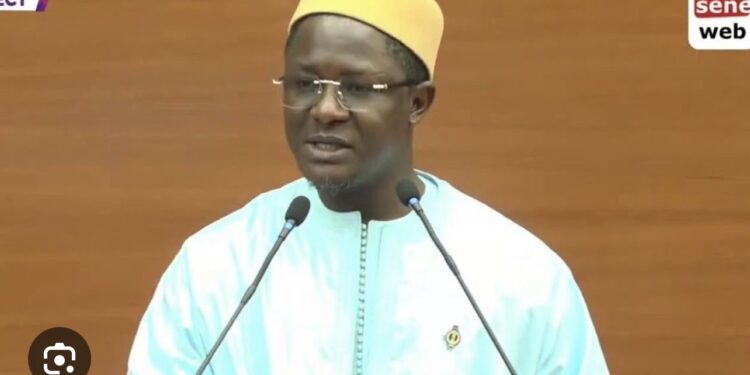 ASSEMBLÉE NATIONALE : Cheikh Bara Ndiaye dézingue le ministre de l’Environnement