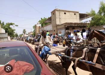 URGENT : Interdiction stricte des charrettes dans la zone du Brt