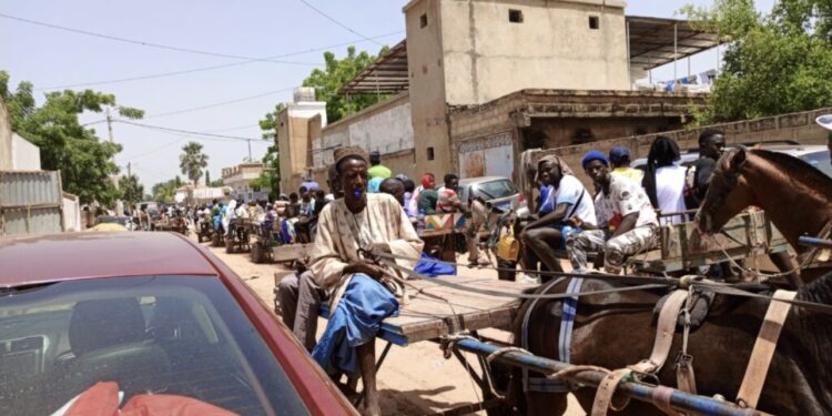 URGENT : Interdiction stricte des charrettes dans la zone du Brt