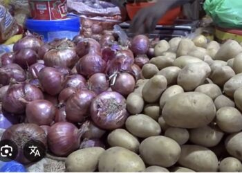 SÉCURISATION DU MARCHÉ : Le ministère du Commerce gèle les importations d’oignon et de pomme de terre