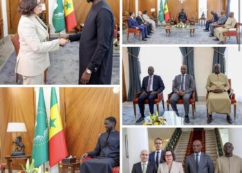 AUDIENCE : La nouvelle cheffe de mission du FMI reçue au Palais