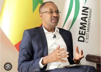 CANDIDATURE DE MACKY A L’ONU : Mamadou Ibra Kane pose le débat